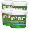 Pro-Kleen Iron Sulphate 10KG PREMIUM Ferrous Pure Lawn Tonic- Lawn Conditioner And Turf Hardener. Dry Powder Soluble In Water -Draper Tool Shop pro kleen iron sulphate 10kg premium ferrous pure lawn tonic lawn conditioner and turf hardener dry powder soluble in water5056411323325 01c MP
