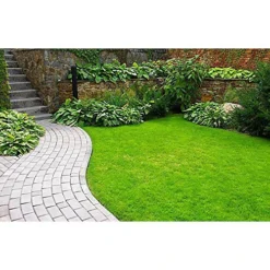 Pro-Kleen Iron Sulphate 10KG PREMIUM Ferrous Pure Lawn Tonic- Lawn Conditioner And Turf Hardener. Dry Powder Soluble In Water 7 Pro-Kleen Iron Sulphate 10KG PREMIUM Ferrous Pure Lawn Tonic- Lawn Conditioner And Turf Hardener. Dry Powder Soluble In Water -Draper Tool Shop pro kleen iron sulphate 10kg premium ferrous pure lawn tonic lawn conditioner and turf hardener dry powder soluble in water5056411323325 02c MP