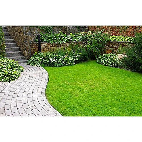 Pro-Kleen Iron Sulphate 10KG PREMIUM Ferrous Pure Lawn Tonic- Lawn Conditioner And Turf Hardener. Dry Powder Soluble In Water 4 Pro-Kleen Iron Sulphate 10KG PREMIUM Ferrous Pure Lawn Tonic- Lawn Conditioner And Turf Hardener. Dry Powder Soluble In Water - Image 2