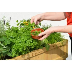 Raised Garden Bed Planter - Herb Garden - Natural (FSC 100%) 8 Raised Garden Bed Planter - Herb Garden - Natural (FSC 100%) -Draper Tool Shop raised garden bed planter herb garden natural fsc 100 4975149860272 03c MP