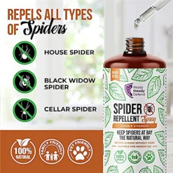 Ready Steady Defend Natural Spider Repellent Spray 200ml -Draper Tool Shop ready steady defend natural spider repellent spray 200ml5065003775381 04c MP