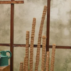 Salike 140cm Coir GrowPole For Plant Support -Draper Tool Shop salike 140cm coir growpole for plant support5060861941626 03c MP