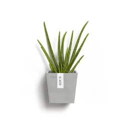 Set Of 2 Ecopots Manhattan Wall -Draper Tool Shop set of 2 ecopots manhattan wall9999999206382 03c MP