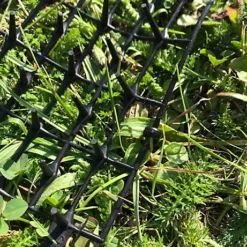 Set Of 2 X Plant Prickle Strip Dig Stopper Anti Dog And Cat Protection (2m X 30cm) -Draper Tool Shop set of 2 x plant prickle strip dig stopper anti dog and cat protection 2m x 30cm 5060575108285 03c MP