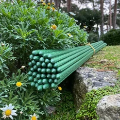 Set Of 40 Plastic Coated Metal Plant Support Sticks (120cm) 9 Set Of 40 Plastic Coated Metal Plant Support Sticks (120cm) -Draper Tool Shop set of 40 plastic coated metal plant support sticks 120cm 5060266599637 04c MP