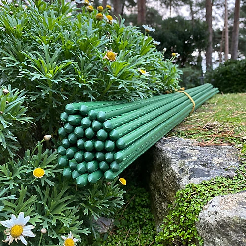 Set Of 40 Plastic Coated Metal Plant Support Sticks (120cm) 6 Set Of 40 Plastic Coated Metal Plant Support Sticks (120cm) - Image 4