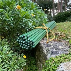 Set Of 40 Plastic Coated Metal Plant Support Sticks (60cm) -Draper Tool Shop set of 40 plastic coated metal plant support sticks 60cm 5060266599651 04c MP