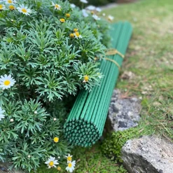 Set Of 80 Plastic Coated Metal Plant Support Sticks (120cm) -Draper Tool Shop set of 80 plastic coated metal plant support sticks 120cm 5055031303052 04c MP