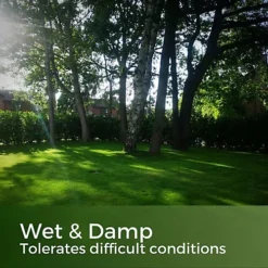 Shade & Sun Grass Seed For Shaded Areas 10kg (140-400m²) 8 Shade & Sun Grass Seed For Shaded Areas 10kg (140-400m²) -Draper Tool Shop shade sun grass seed for shaded areas 10kg 140 400m 5065007977149 03c MP