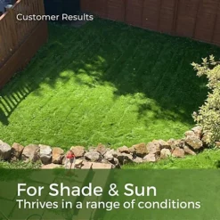 Shade & Sun Grass Seed For Shaded Areas 20kg (280-800m²) -Draper Tool Shop shade sun grass seed for shaded areas 20kg 280 800m 5065007977156 02c MP
