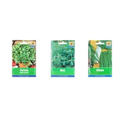 Simpa 3PC Terracotta Chalkboard Herb Planters With Parsley, Mint And Chive Seeds. 6 Simpa 3PC Terracotta Chalkboard Herb Planters With Parsley, Mint And Chive Seeds. -Draper Tool Shop simpa 3pc terracotta chalkboard herb planters with parsley mint and chive seeds 5059331210003 02c MP