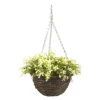 Smart Garden Petunia Artificial Green Round Plastic Hanging Basket, 25cm -Draper Tool Shop smart garden petunia artificial green round plastic hanging basket 25cm5050642019187 02c bq