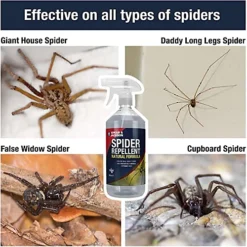 Spear & Jackson Ant Mouse And Spider Repellent 3 X 500ml -Draper Tool Shop spear jackson ant mouse and spider repellent 3 x 500ml5060744388692 04c MP