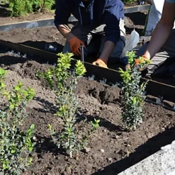 Spudulica HD Garden Edging 10 Pieces 10m Length 60mm Height Black Garden Border System For Paths, Borders, Gravel Areas, Tree Pits -Draper Tool Shop spudulica hd garden edging 10 pieces 10m length 60mm height black garden border system for paths borders gravel areas tree pits5065013758602 02c MP