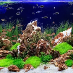Tetra Complete Substrate, Activates Strong And Healthy Plant Growth In An Aquarium, 5 Kg 7 Tetra Complete Substrate, Activates Strong And Healthy Plant Growth In An Aquarium, 5 Kg -Draper Tool Shop tetra complete substrate activates strong and healthy plant growth in an aquarium 5 kg4004218245303 03c MP