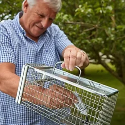 The Big Cheese Rat & Squirrel Cage Trap -Draper Tool Shop the big cheese rat squirrel cage trap5036200120755 04c MP