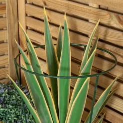 Tom Chambers Urban Green Conical Garden Plant Support Ring 30cm - Medium -Draper Tool Shop tom chambers urban green conical garden plant support ring 30cm medium5056589108724 04c MP