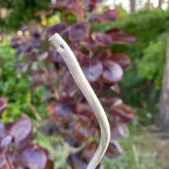 Tomato Spiral Climbing Plant Support Metal Stakes Galvanised Set Of 12 (1.6m) -Draper Tool Shop tomato spiral climbing plant support metal stakes galvanised set of 12 1 6m 5060575105703 03c MP