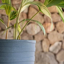 Tramontina Grego Polyethylene Planter (80cm High, Graphite) -Draper Tool Shop tramontina grego polyethylene planter 80cm high graphite 7898683601019 04c MP