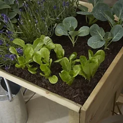 Verve 930mmx690mm Wood Rectangular Raised Bed Kit 0.64m² -Draper Tool Shop verve 930mmx690mm wood rectangular raised bed kit 0 64m 5059340329628 02i