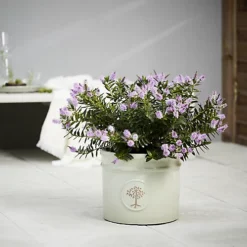 Verve Barcău Olive Ceramic Circular Plant Pot (Dia)30cm 7 Verve Barcău Olive Ceramic Circular Plant Pot (Dia)30cm -Draper Tool Shop verve barcau olive ceramic circular plant pot dia 30cm5059340327723 01i