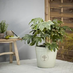 Verve Barcău Olive Ceramic Circular Plant Pot (Dia)40cm 7 Verve Barcău Olive Ceramic Circular Plant Pot (Dia)40cm -Draper Tool Shop verve barcau olive ceramic circular plant pot dia 40cm5059340327761 01i