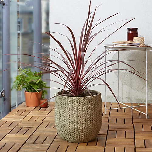 Verve Kulun Beige Knitted Effect Fibreclay Circular Plant Pot (Dia)29cm 5 Verve Kulun Beige Knitted Effect Fibreclay Circular Plant Pot (Dia)29cm - Image 3