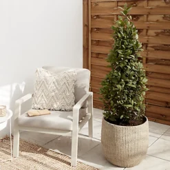 Verve Kulun Beige Knitted Effect Fibreclay Circular Plant Pot (Dia)46cm 7 Verve Kulun Beige Knitted Effect Fibreclay Circular Plant Pot (Dia)46cm -Draper Tool Shop verve kulun beige knitted effect fibreclay circular plant pot dia 46cm5059340327679 01i