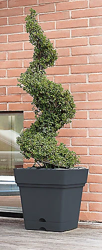 Verve Nurgul Dark Grey Plastic Square Plant Pot (Dia)38cm 4 Verve Nurgul Dark Grey Plastic Square Plant Pot (Dia)38cm - Image 2