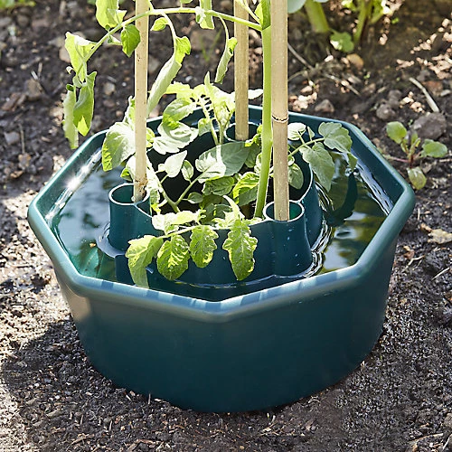 Verve Plastic Plant Support 28cm, Pack Of 3 5 Verve Plastic Plant Support 28cm, Pack Of 3 - Image 3