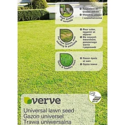 Verve Universal Grass Seeds, 1.5kg