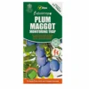 Vitax Plum Maggot Monitoring Trap -Draper Tool Shop vitax plum maggot monitoring trap5012042010454 01c MP