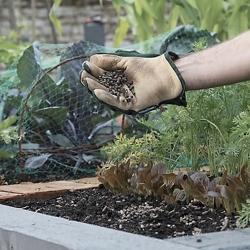 Westland Chicken Manure Pellets, 10kg 4 Westland Chicken Manure Pellets, 10kg - Image 2