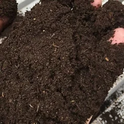 Wormganix 1 Litre Pouch Premium Worm Castings Vermicompost Organic Moist Fresh -Draper Tool Shop wormganix 1 litre pouch premium worm castings vermicompost organic moist fresh5060505553581 03c MP