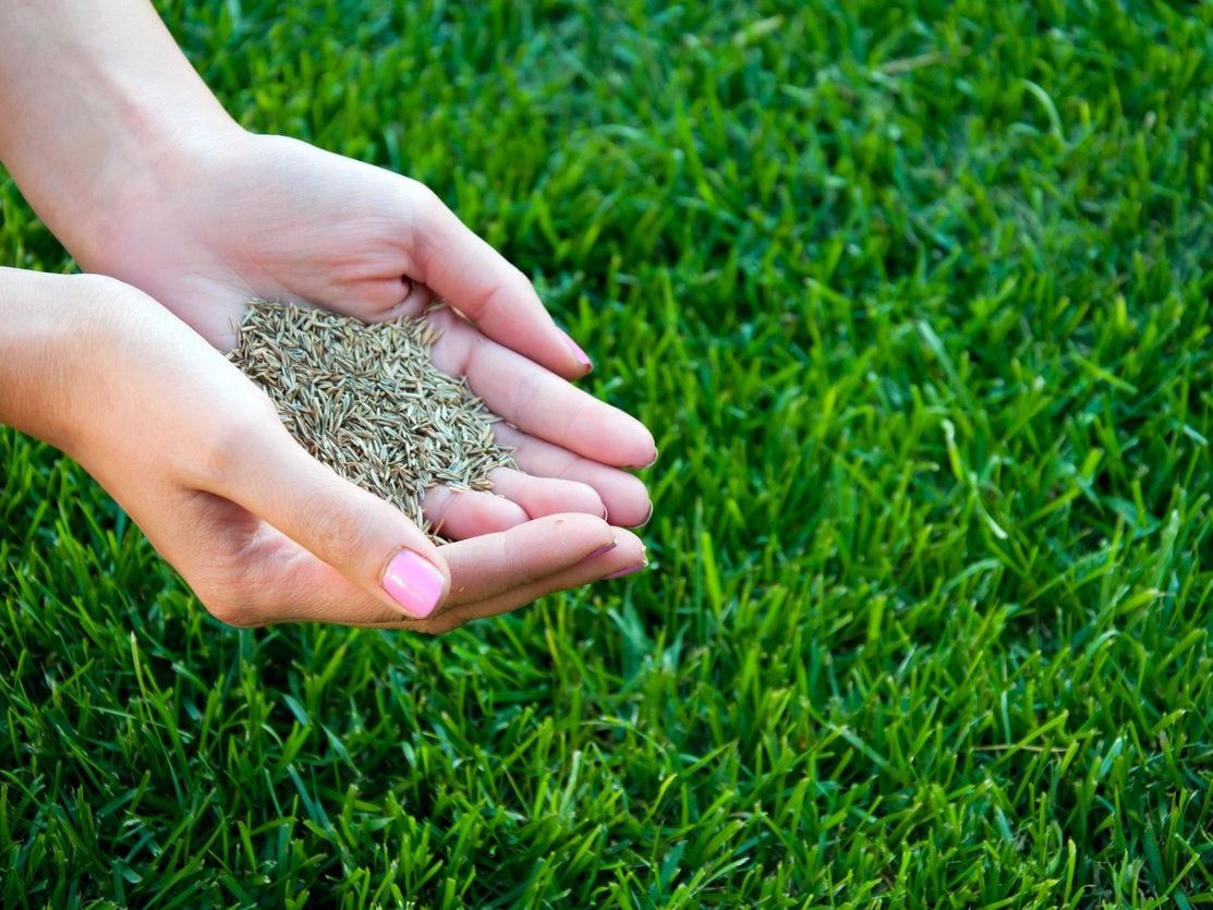 Draper Tool Shop 18 Draper Tool Shop -Draper Tool Shop